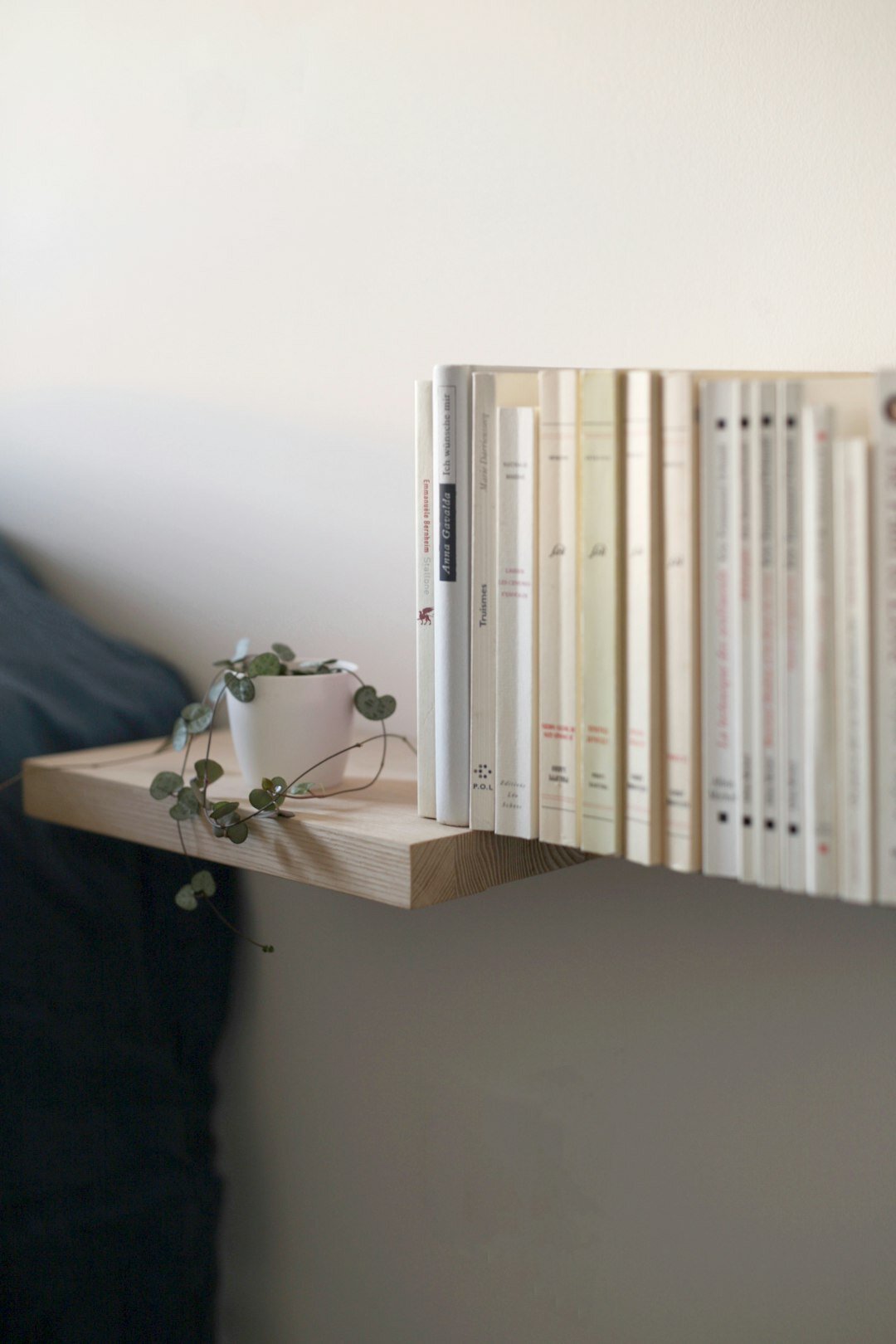bookshelf with novels